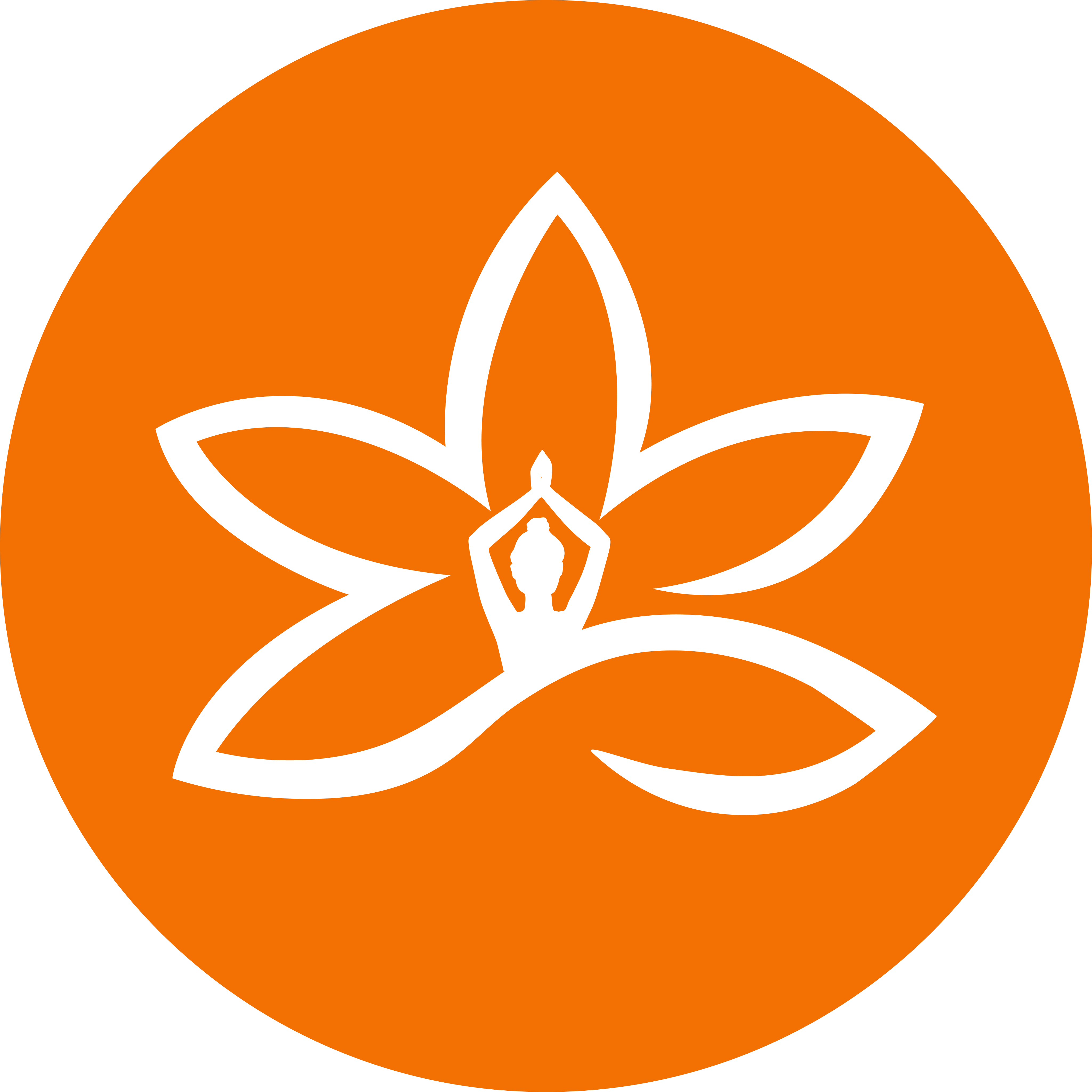 Description of your image